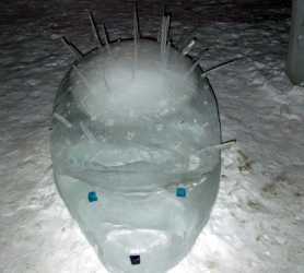 Minsk_Belarus_Winter_hedgehog