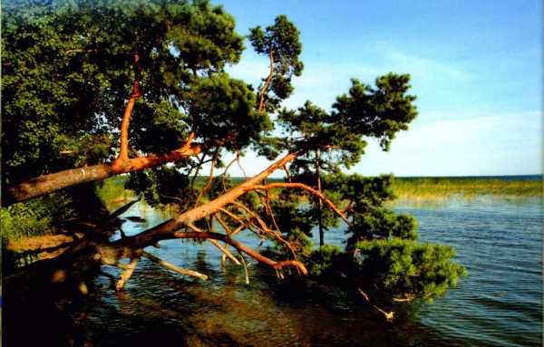 Belarus_National_park_Naroch_Lake_