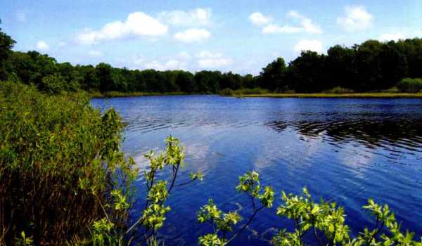 Belarus Smychok photo